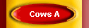 Cows A