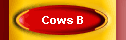 Cows B
