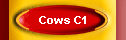 Cows C1