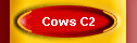 Cows C2
