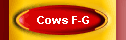 Cows F-G