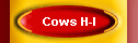 Cows H-I