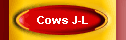 Cows J-L