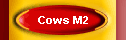 Cows M2
