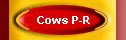 Cows P-R