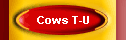 Cows T-U